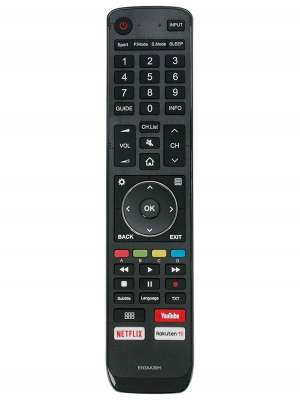 Пульт універсальний Hisense EN3G39 (Huayu RM-L1575)